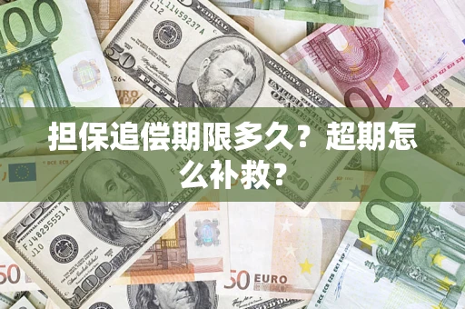 济南担保追偿期限多久？超期怎么补救？