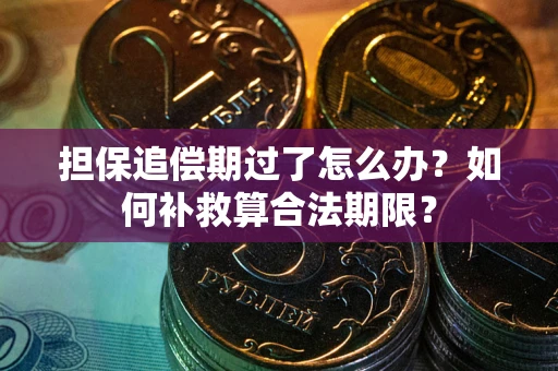 济南担保追偿期过了怎么办？如何补救算合法期限？